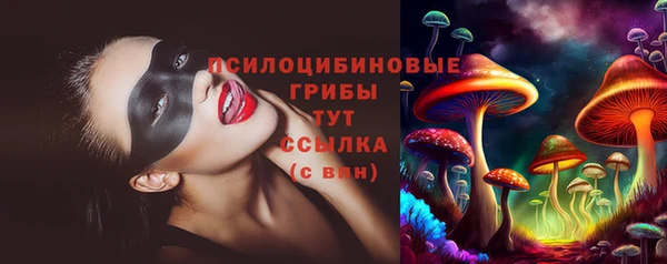мдпв Богданович