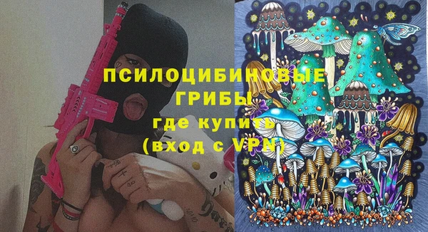 каннабис Богородицк