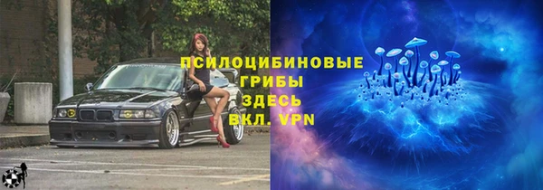 мдпв Богданович